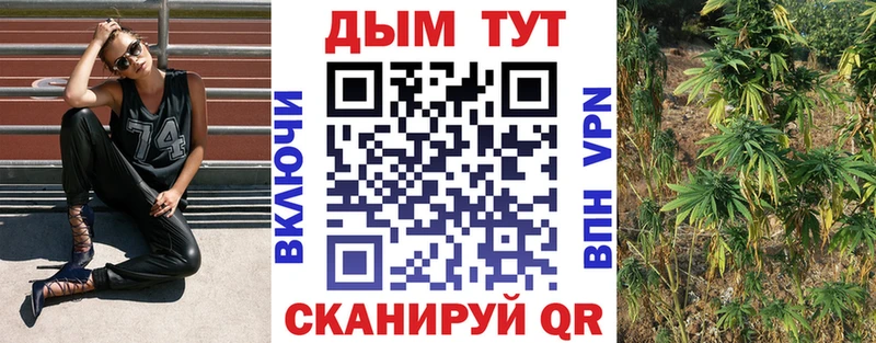 МАРИХУАНА конопля  Циолковский 